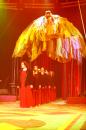 les NoNo font leur cirque 61 * 4368 x 2912 * (6.43MB)